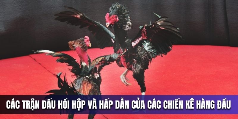 cac-tran-dau-hoi-hop-va-hap-dan-cua-cac-chien-ke-hang-dau