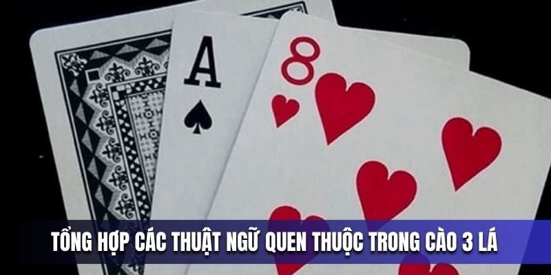 tong-hop-cac-thuat-ngu-quen-thuoc-trong-cao-3-la